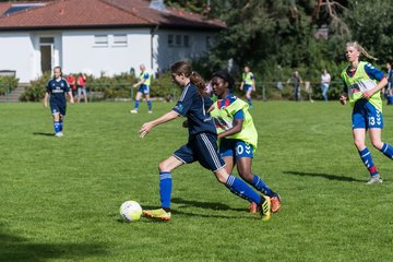 Bild 153 - B-Juniorinnen VfL Pinneberg - HSV : Ergebnis: 1:4